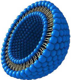 Liposome (o/w)