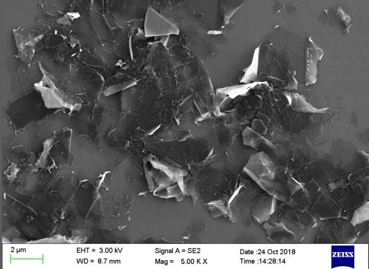 graphene after homogenizer