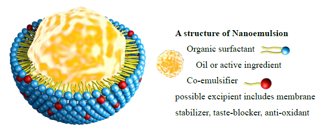 A structure of Nanoemulsion