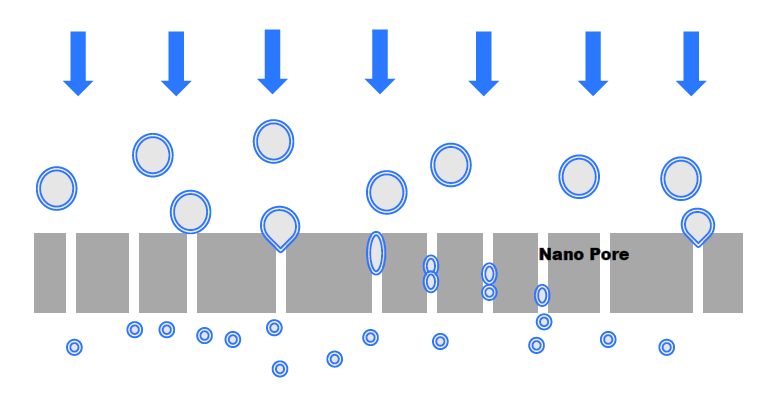 Diagram of Liposomes extruding through nano sized pores in polycarbonate membrane. 